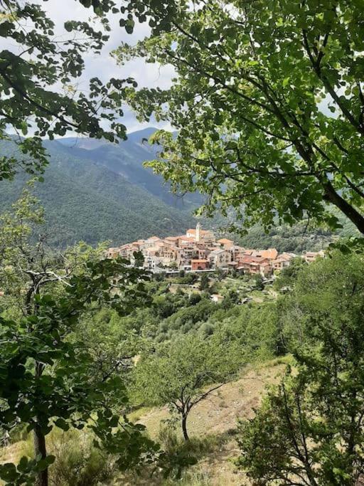 Maison Bohème Vesubie La Bollène-Vésubie Esterno foto