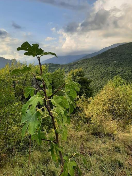 Maison Bohème Vesubie La Bollène-Vésubie Esterno foto